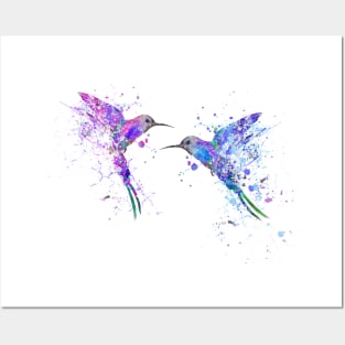 Hummingbird Posters and Art